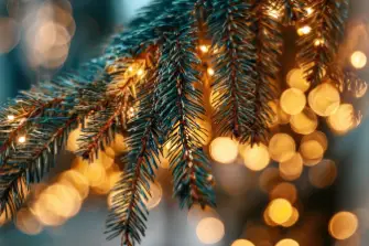 12 plus eine Ideen, wie du in der Adventszeit Energie sparen kannst<br />
&nbsp;