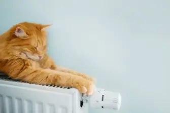 Sonne und Stein: So bleibt&rsquo;s warm daheim