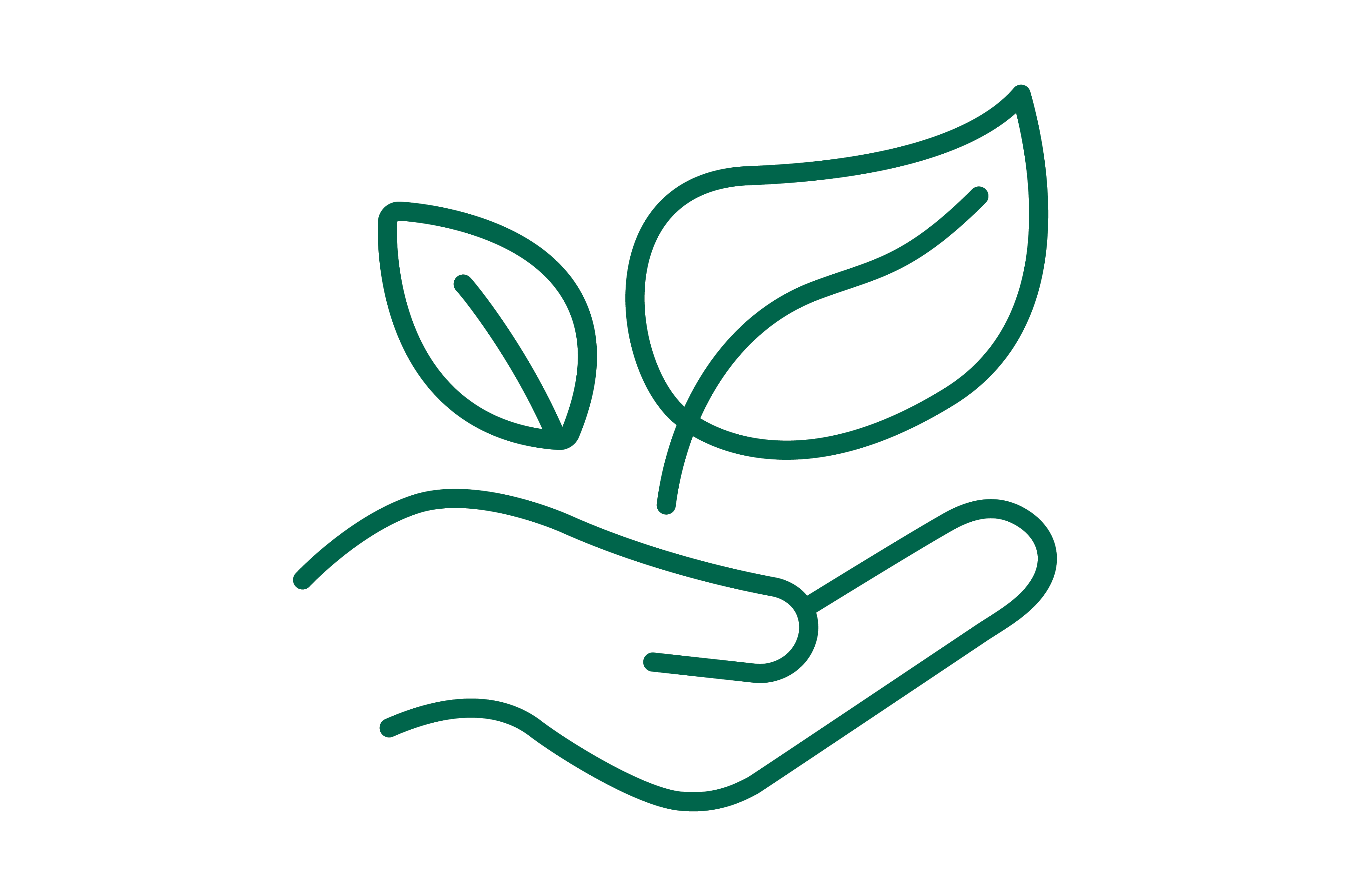 La durabilité symbolisée par une main ouverte avec deux feuilles dessus.